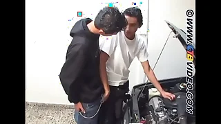 2631 gay blowjob porn videos